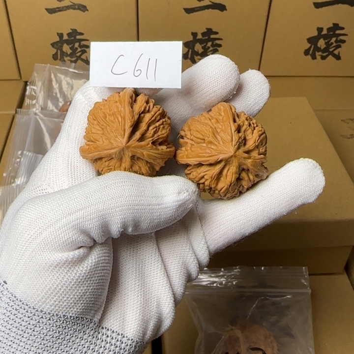 文玩核桃吊坠简单包装40尺玉龙三棱