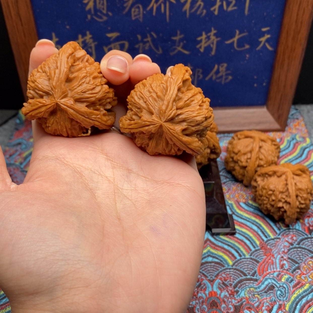 【闪购商品】大**言白狮