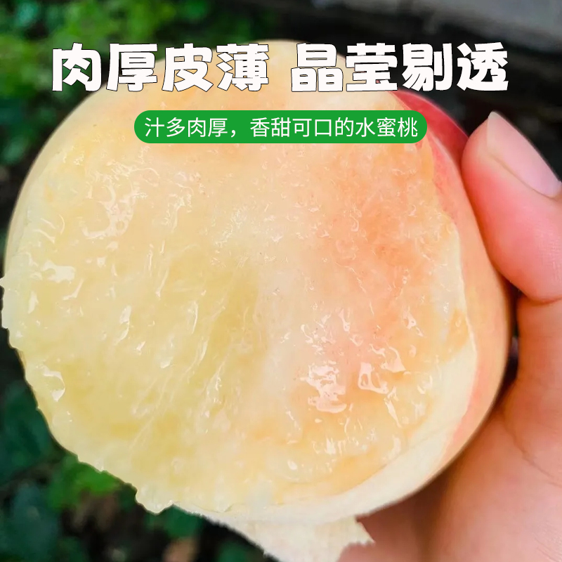 .....【4-3两无锡水蜜桃】.....