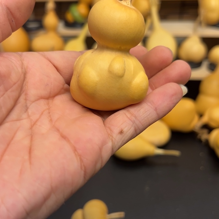 果*酱18898888558889999