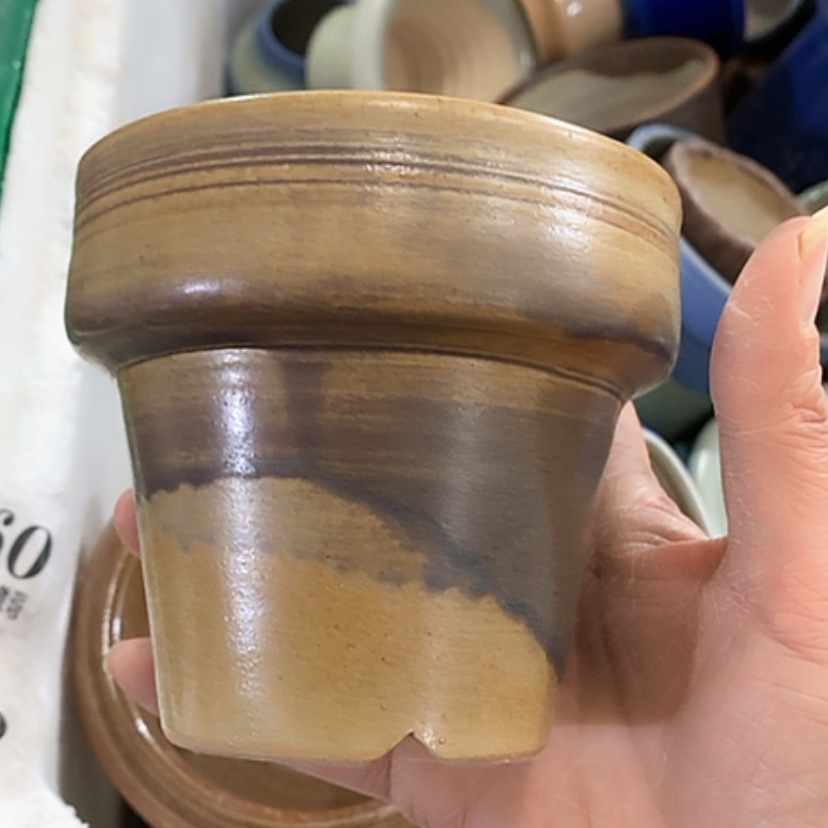 【闪购商品】红陶口10