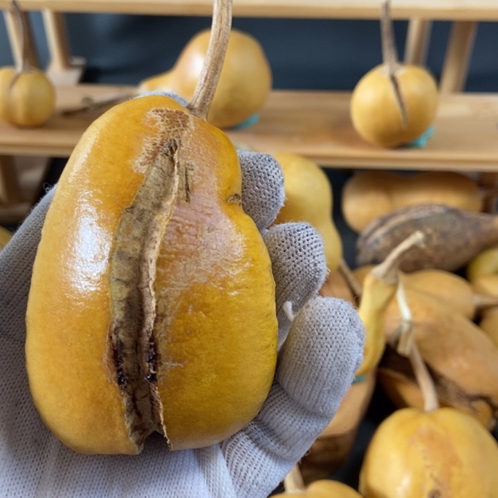 卫**刘dfjoutfcfddch