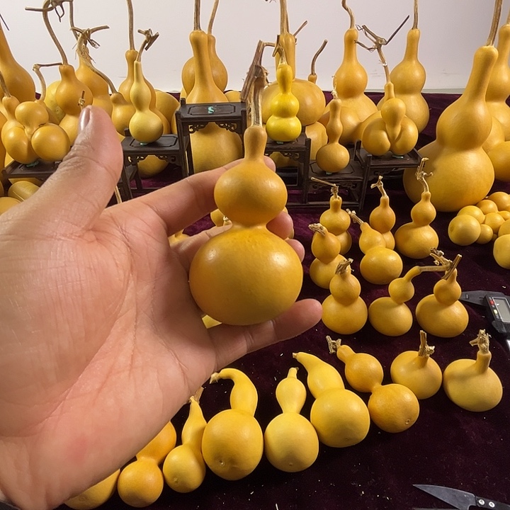 葫芦微瑕葫芦不退不换