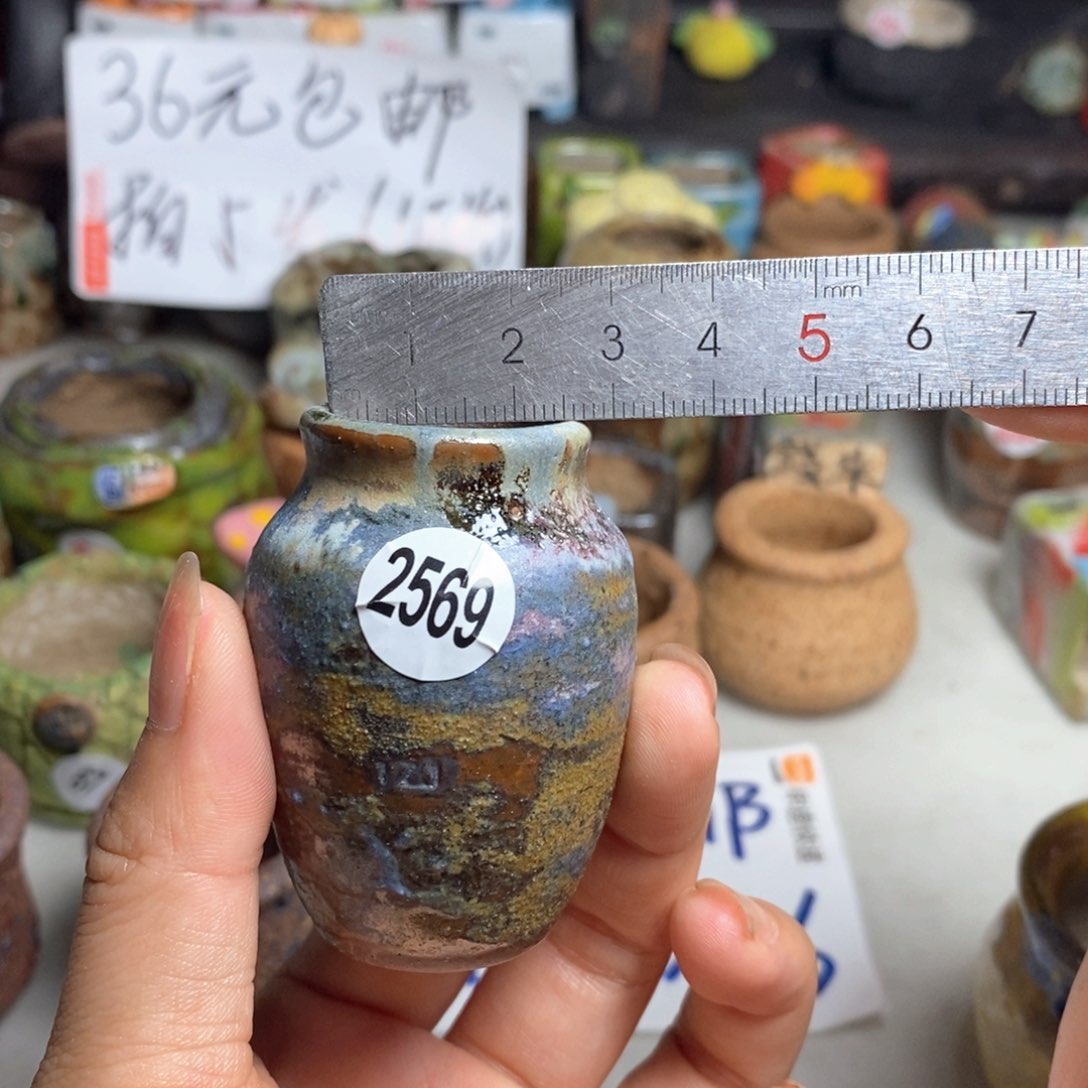 拍5送一个小礼物