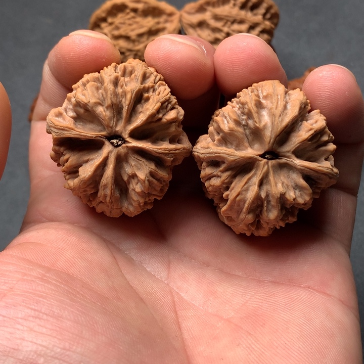 文玩核桃吊坠西北将军膀文玩核桃