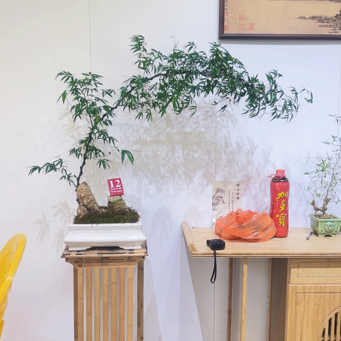 无花朵连体双宝塔