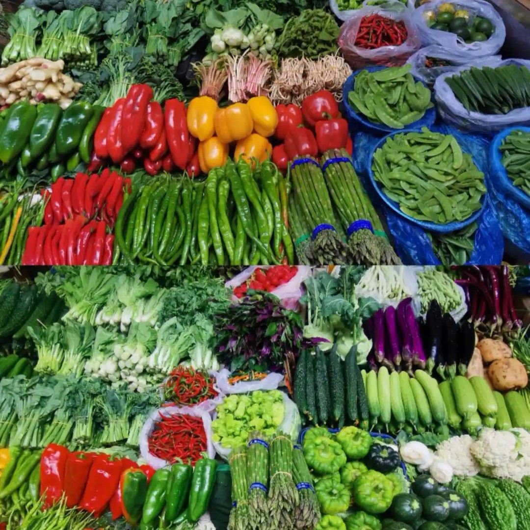 临时链接，【桦树粉粉菜】