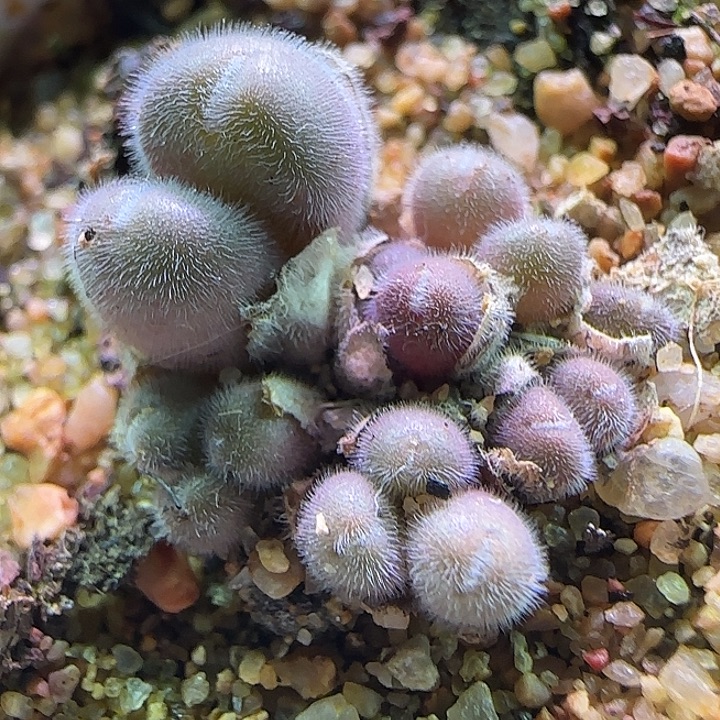 826   哈哈哈哈哈哈哈。 