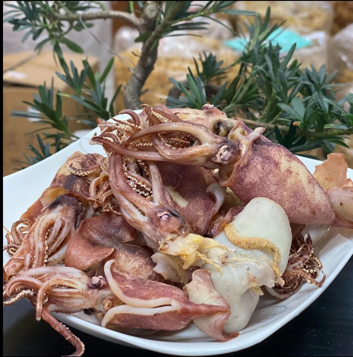 湛江海产 开片鱿鱼肉片 海兔片 非足干 炒菜煲汤煲粥