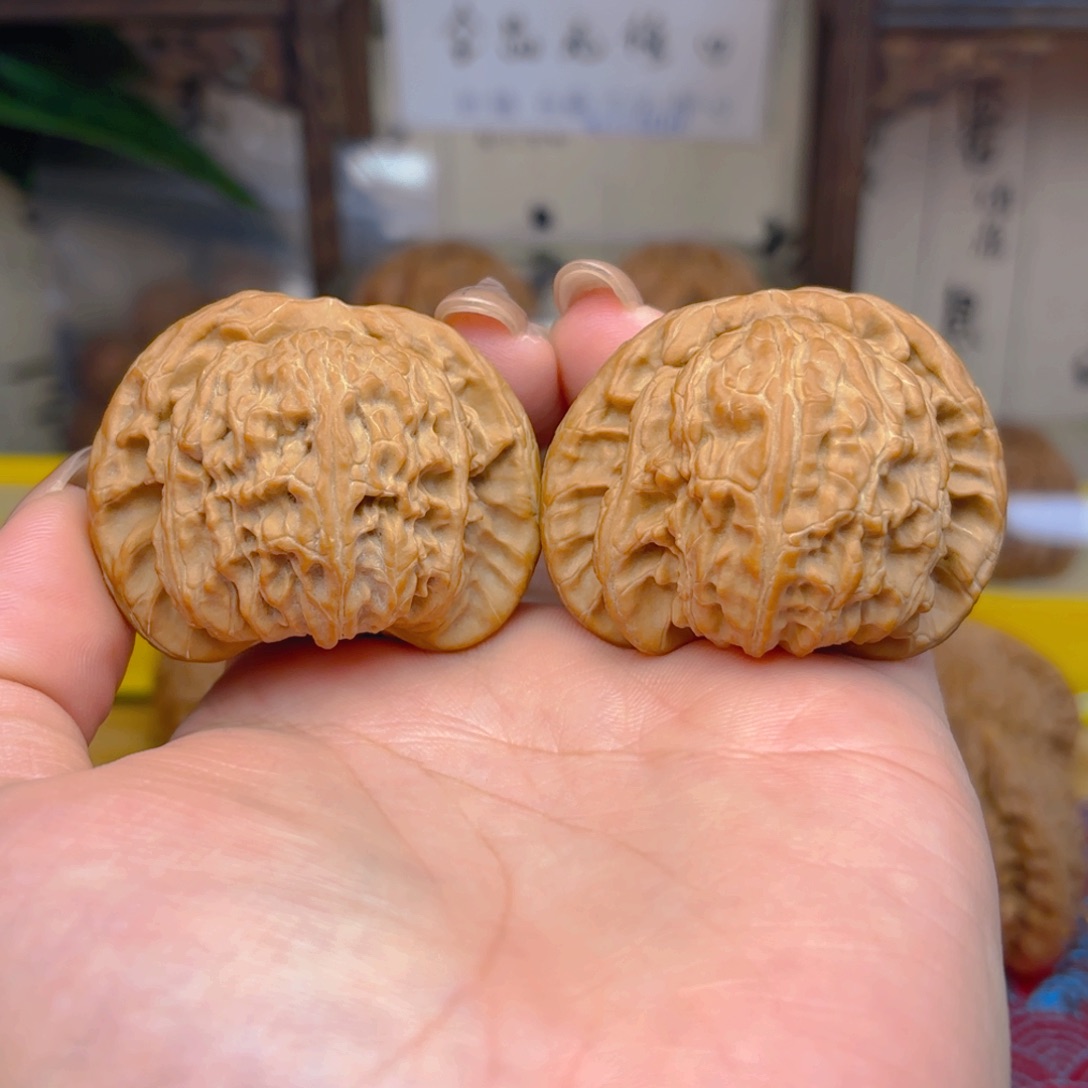 原***来白狮子头四十五尺