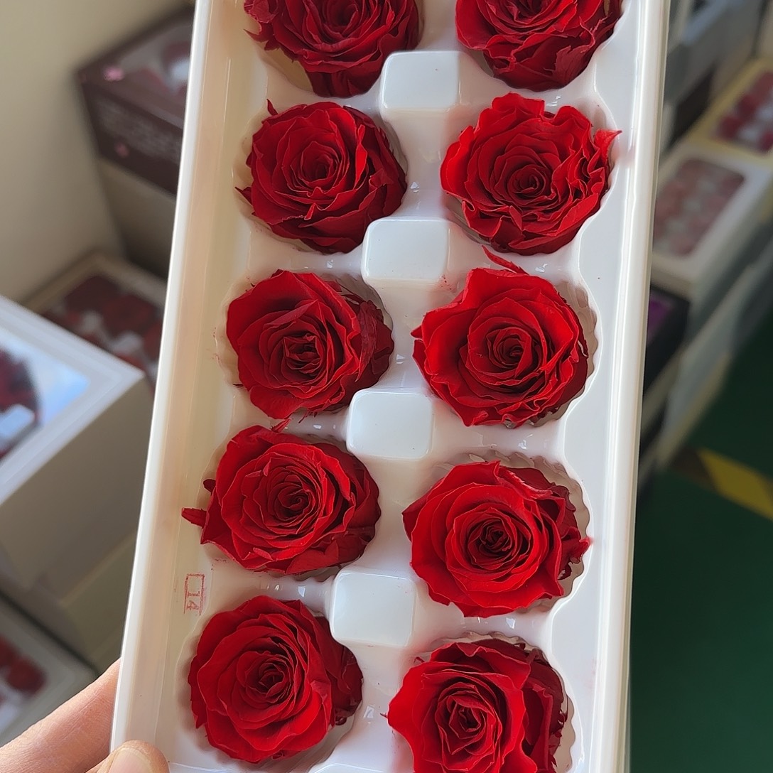 K105号红色10朵3-4厘米