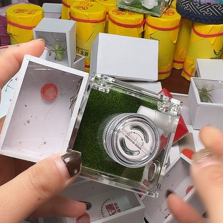 鹿****蟋蟀一份盒子一紫。       