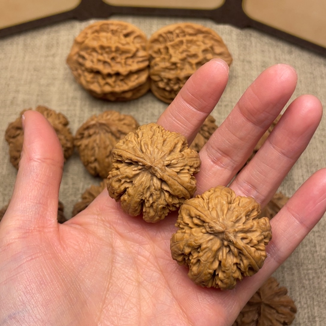 ****果核桃秦岭核桃40号（水尖）