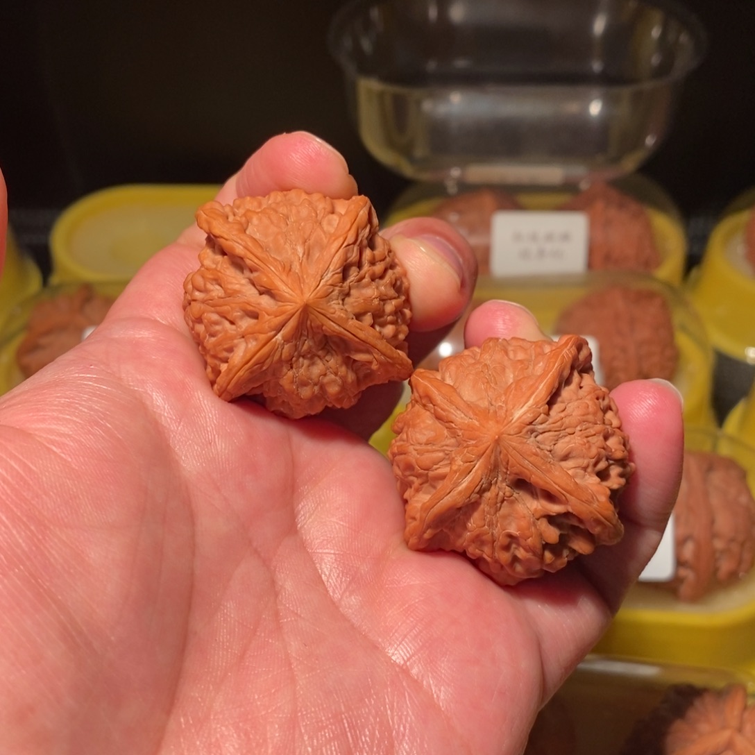 文玩核桃把件满天星正四棱精品对