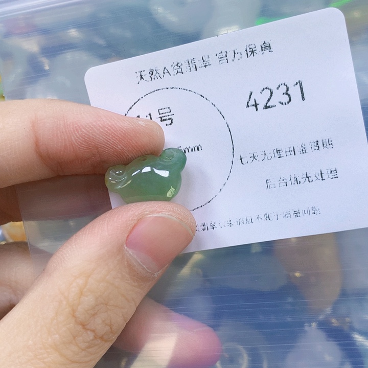 翡翠吊坠(赠链)未镶嵌翡翠
