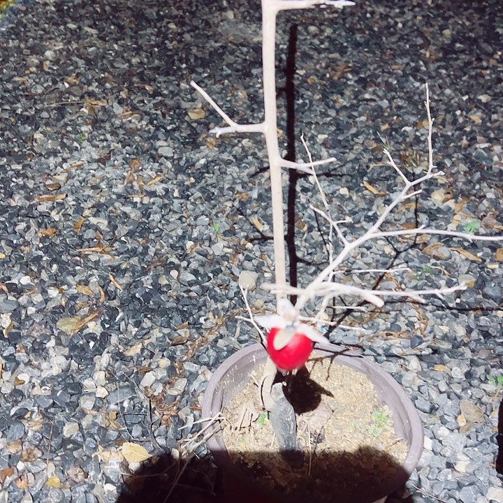 阳***光无花朵哈哈哈哈给哈哈