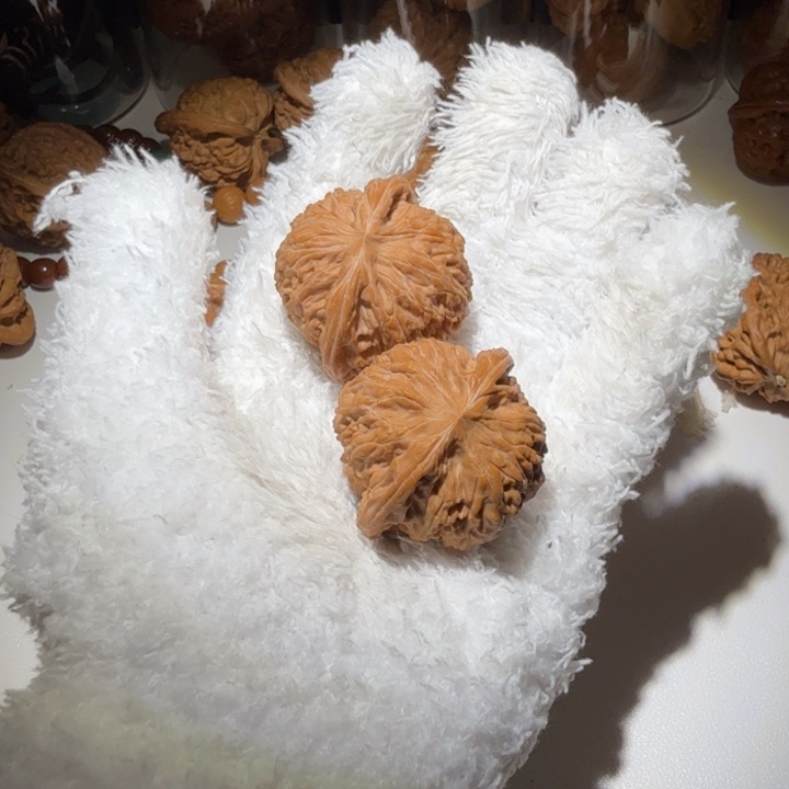 *****磨盘磨盘磨盘磨盘