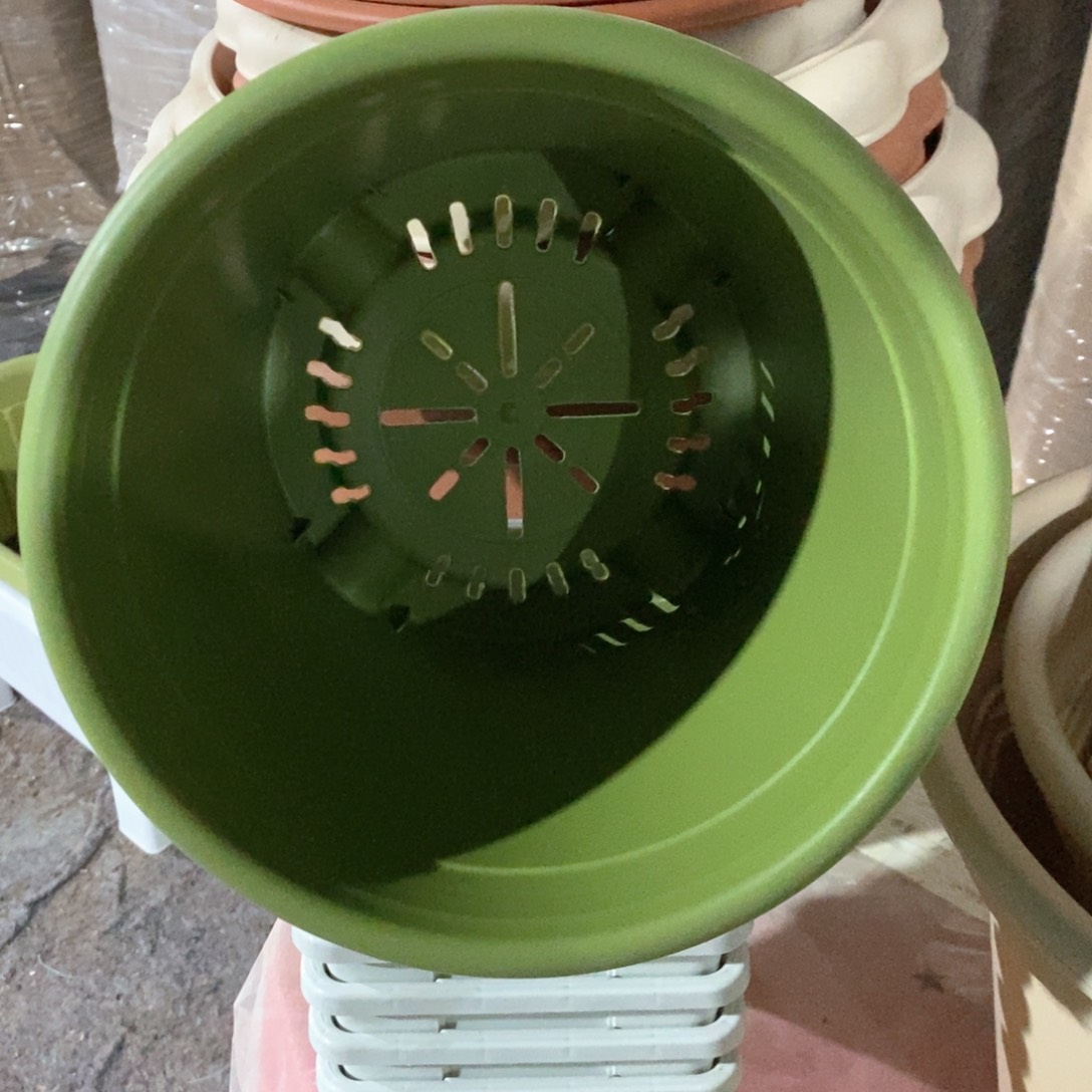 10个25口果绿无托伊特（25×21.5）