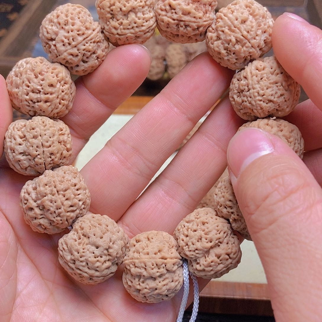 金刚菩提把件5瓣25爆肉蜂王