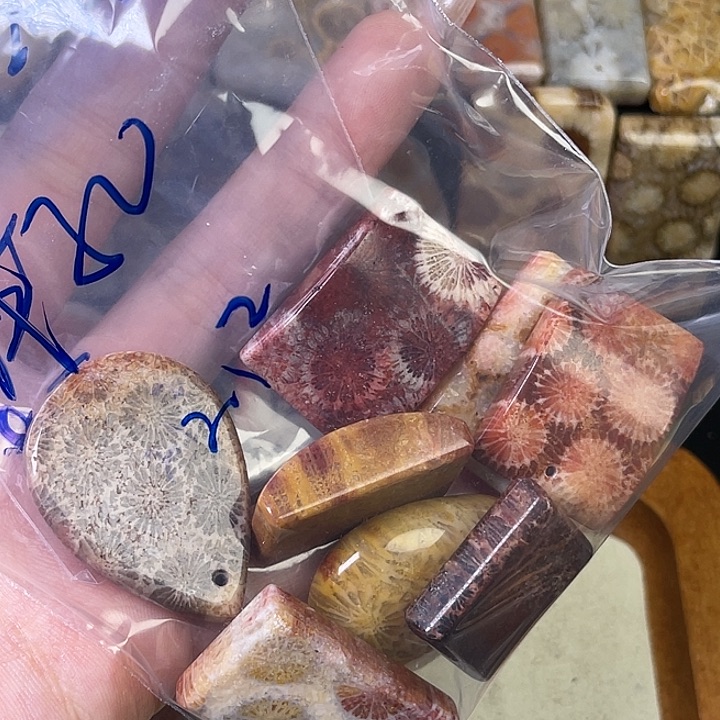 硅化珊瑚（珊瑚玉）珠宝金石合金相**光