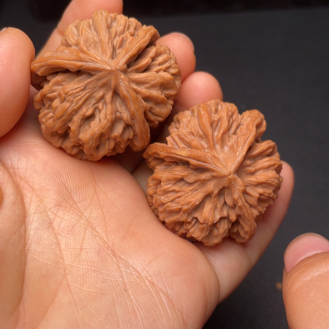 秦岭山脉文玩核桃