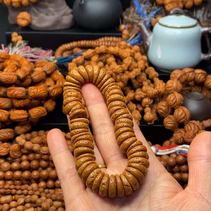 日***方秦岭山脉大肠单圈