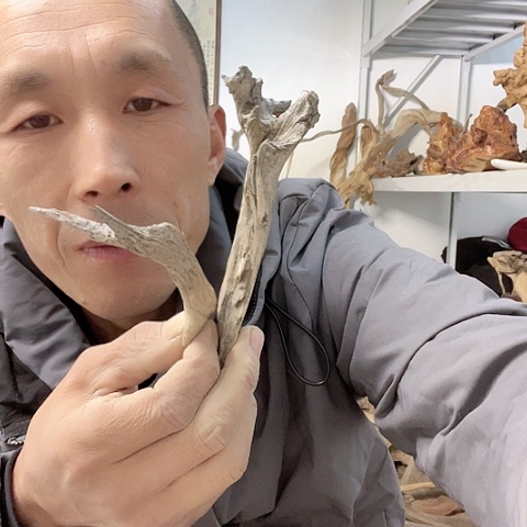 【闪购商品】柏木（崖柏）126