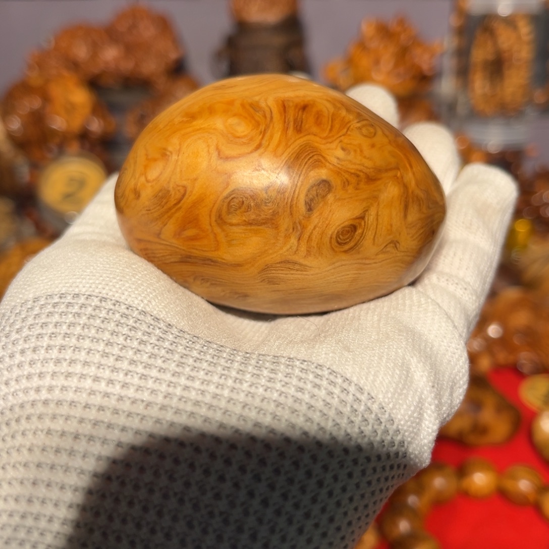 柏木太喜欢这个了