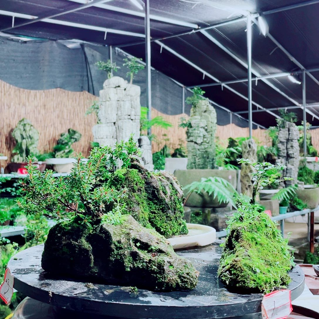 青***饭无花朵我们也可以用这套方法解决