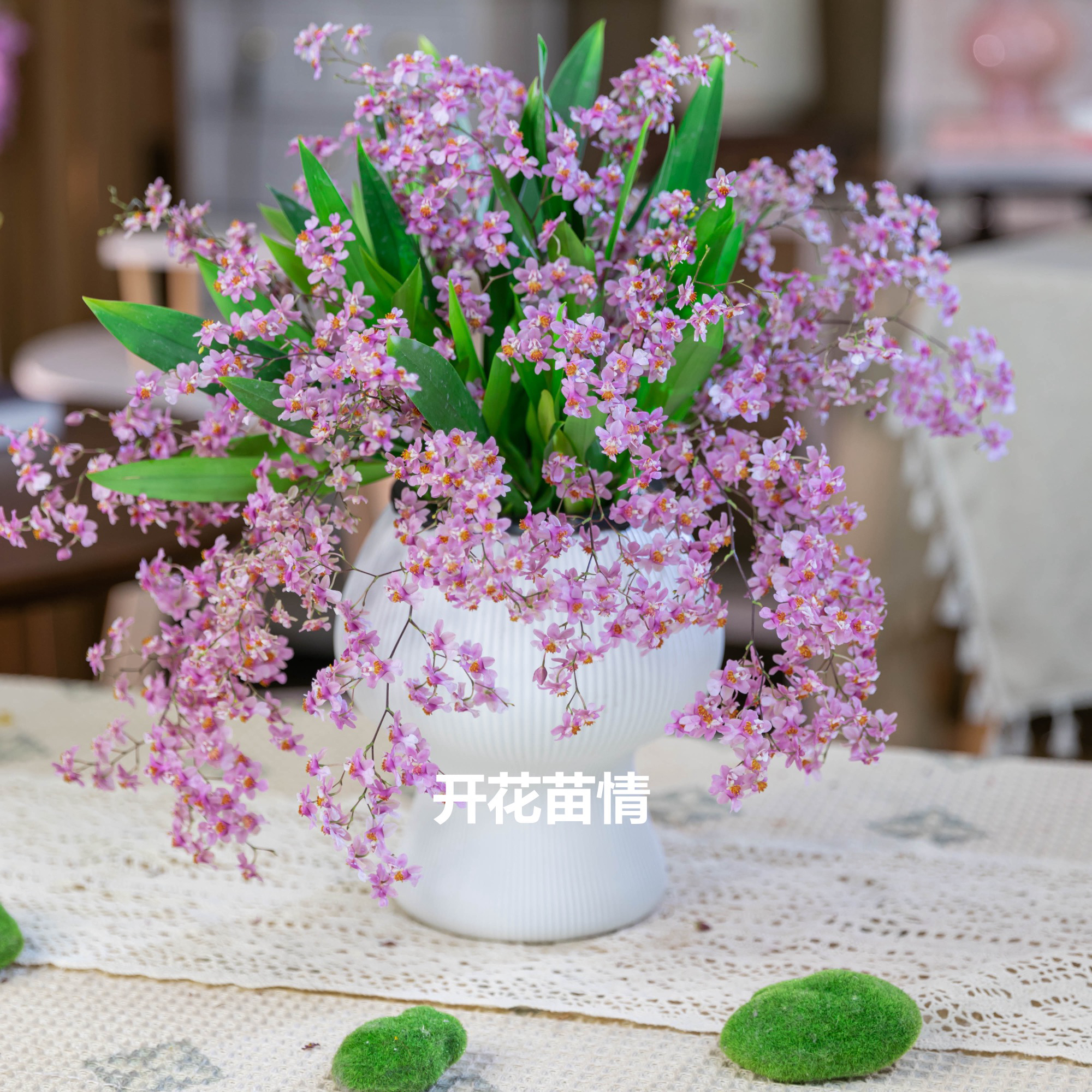 【京东快递】 梦香兰 粉色带花苞10-15支花剑室内好养绿植盆栽