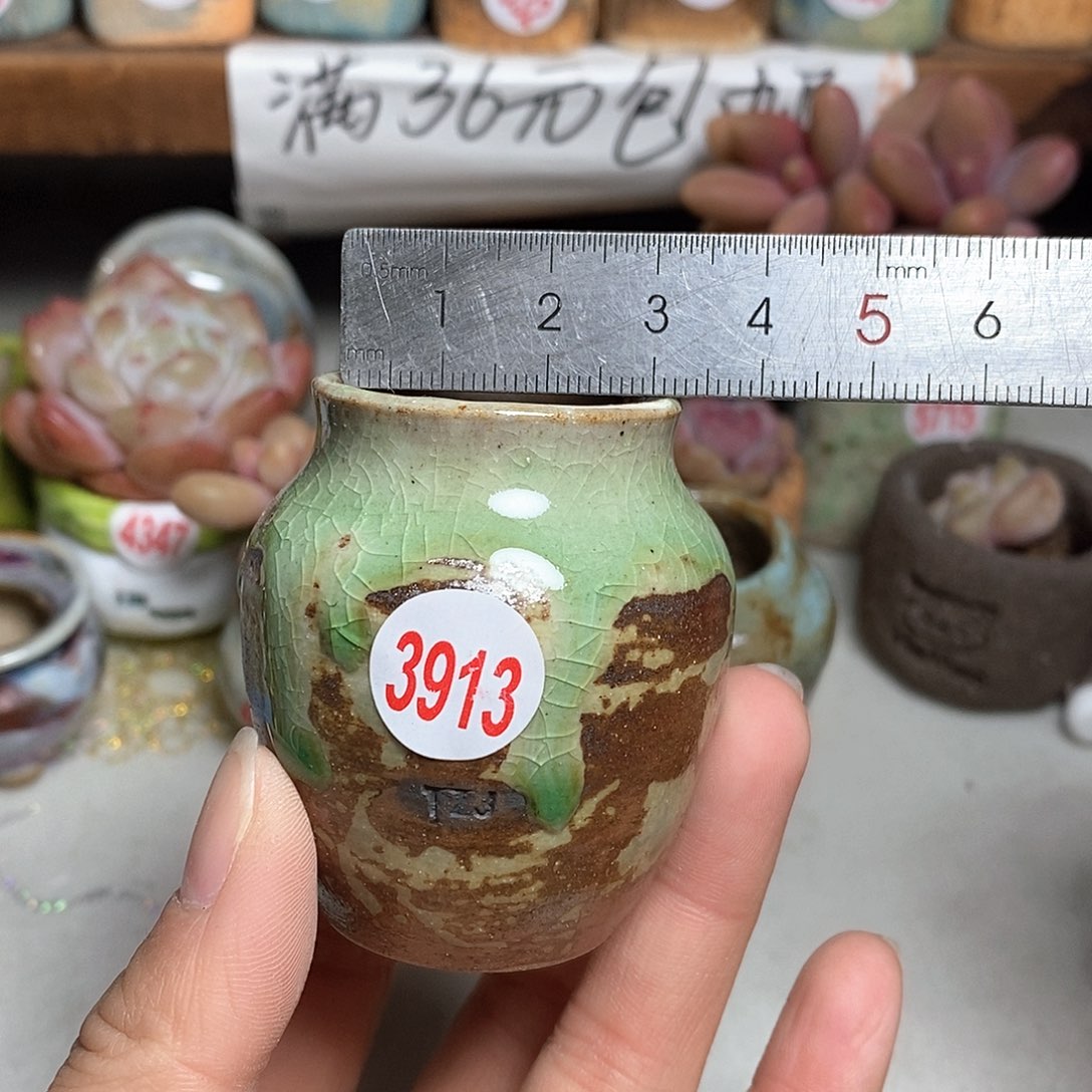 红陶拍5送一个小