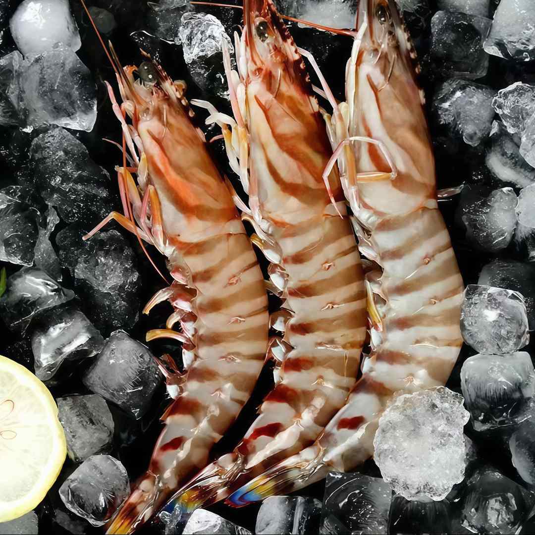 [顺丰包邮]2斤北部湾深海海捕花虾九节虾斑节虾竹节虾活冻发货
