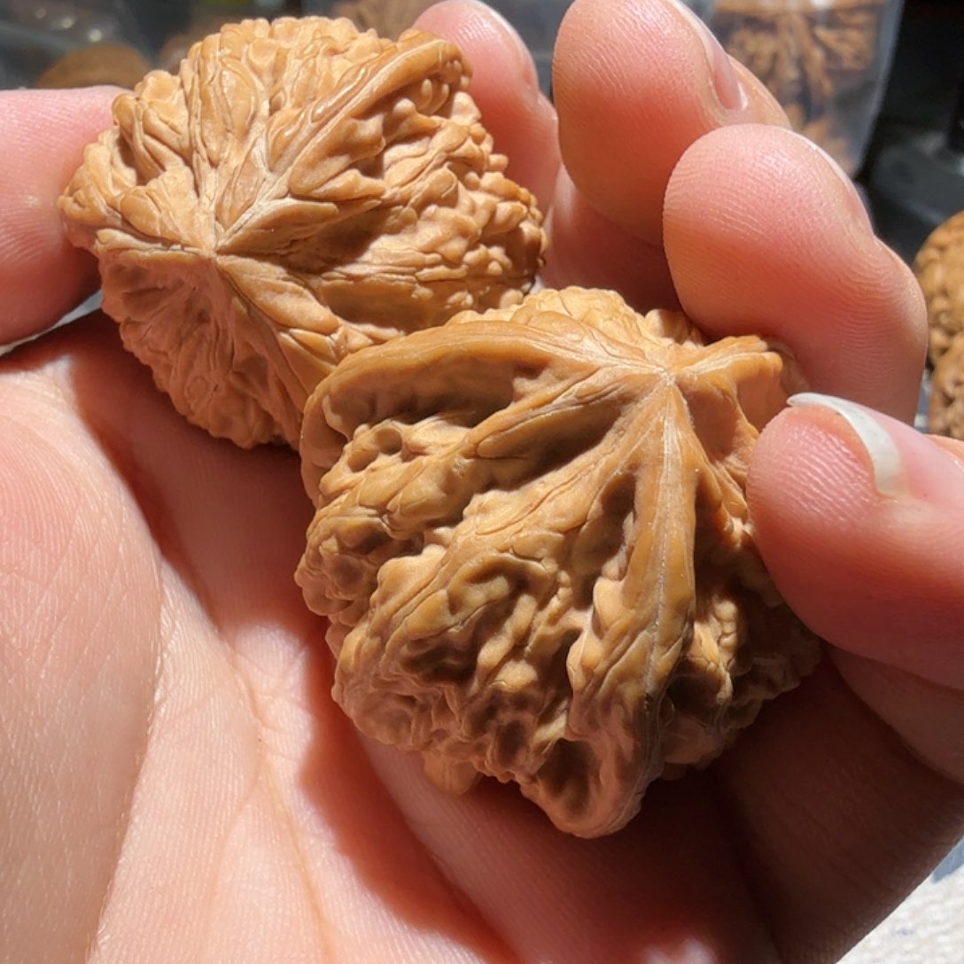 文玩核桃把件任*生御龙