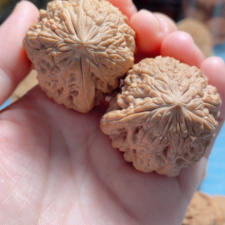 40尺寸全品暴雪骨质好