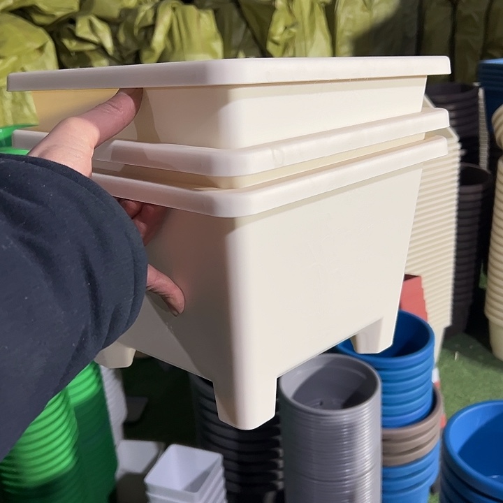 正品米白方球根26外径19高3个盆