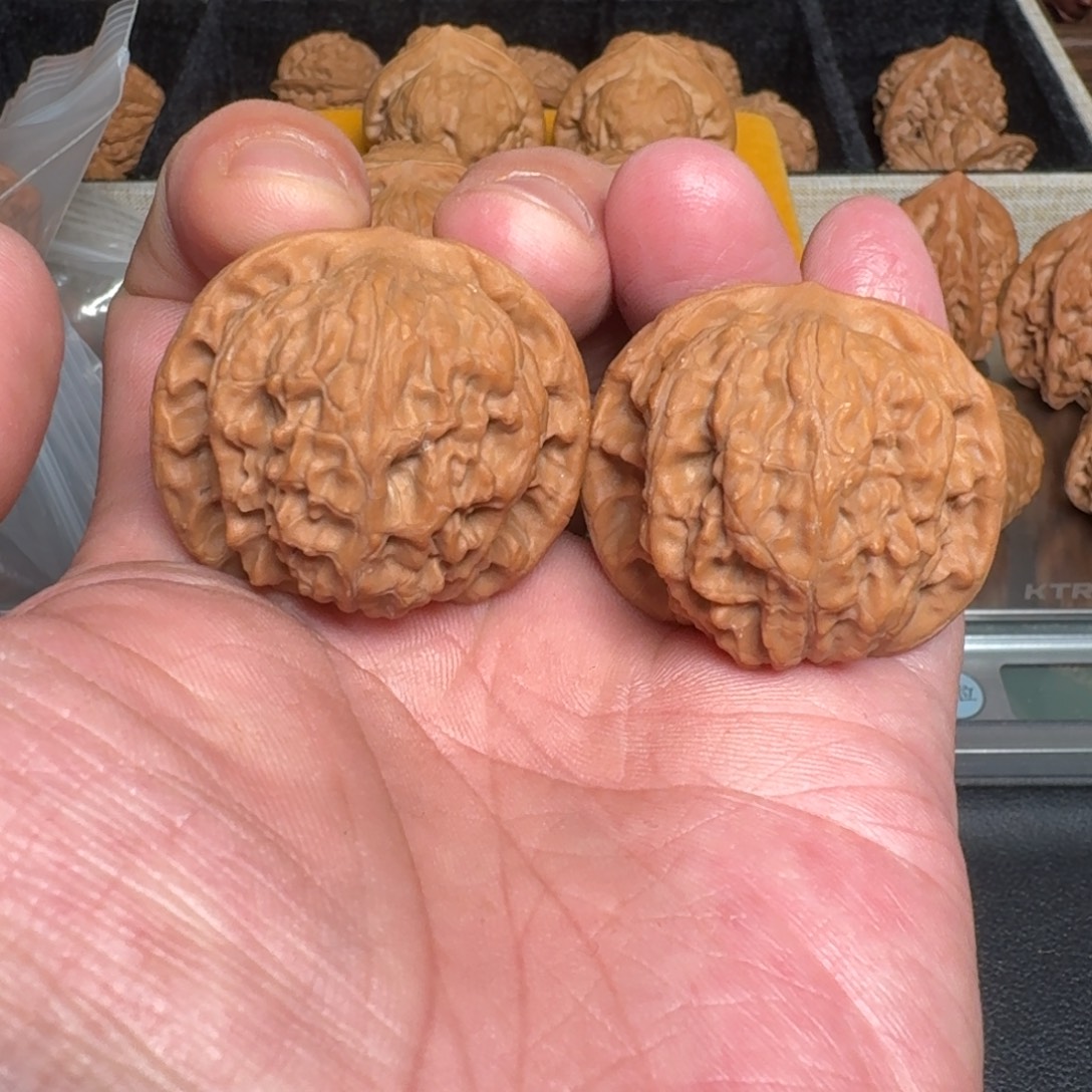 吊坠文玩核桃全品野狼 尺寸39