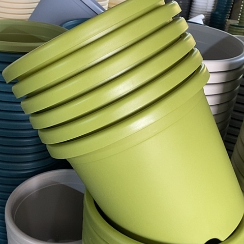 树脂特价5号6个无托果绿