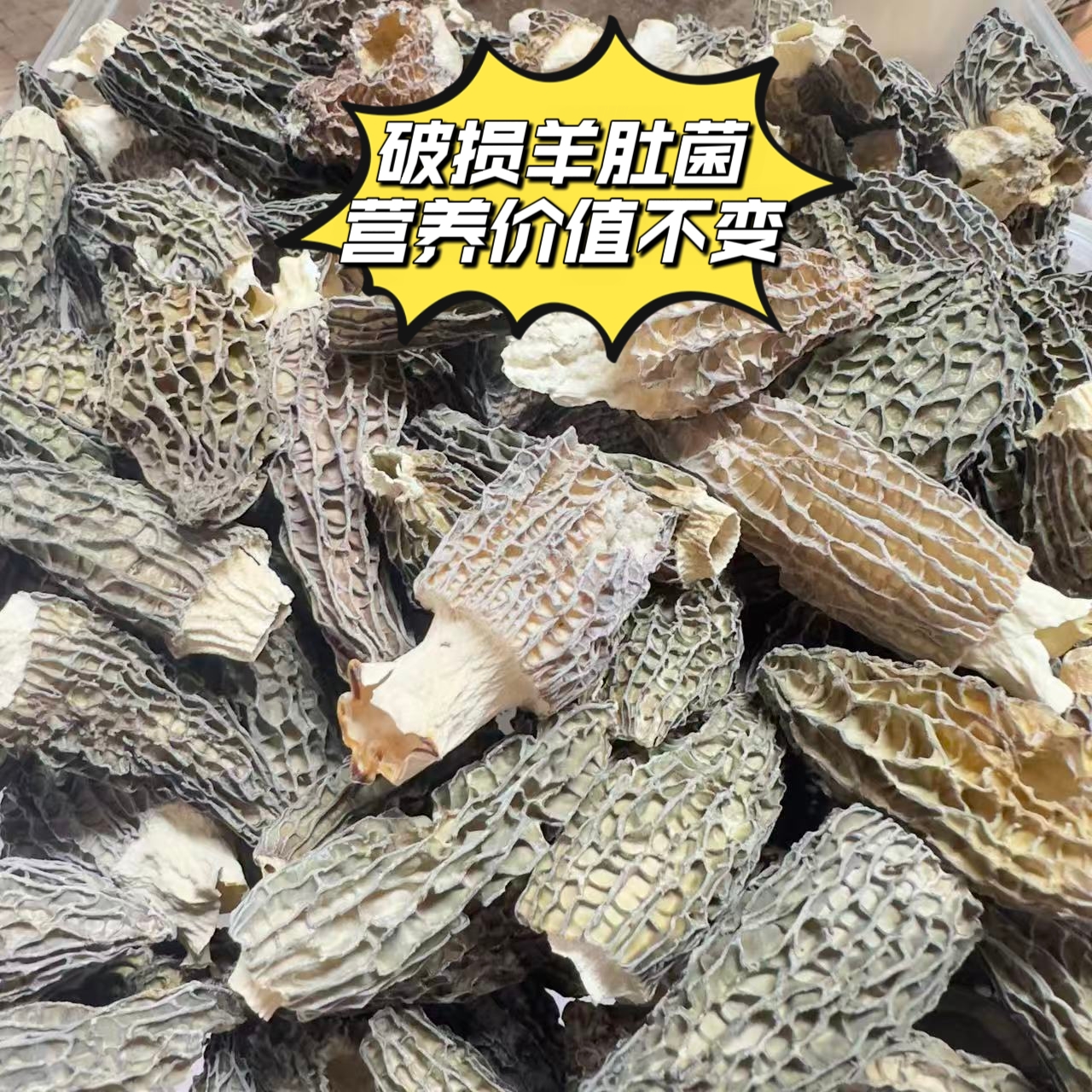 【菇鲜生】破损破碎羊肚菌   自吃性价比高  不熏不染 营养价值不变