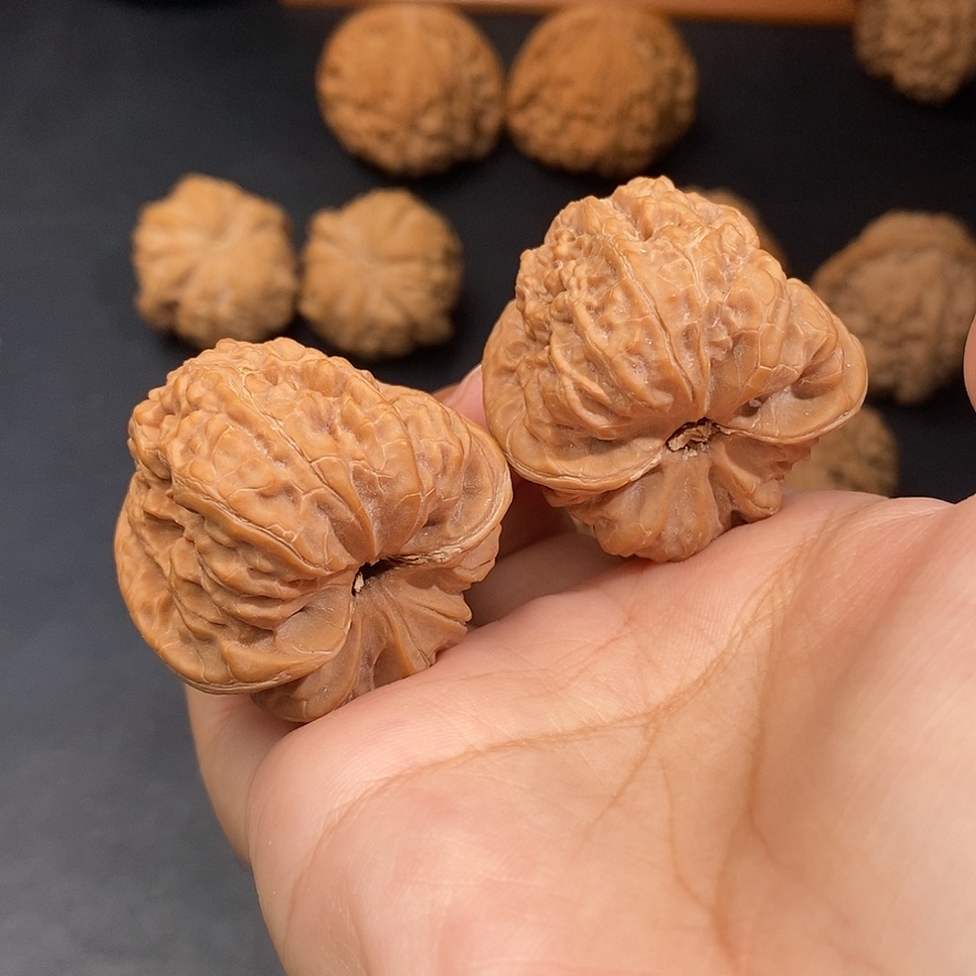 文玩核桃把件聚宝盆全品37