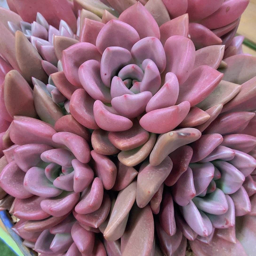 88888888888888888888