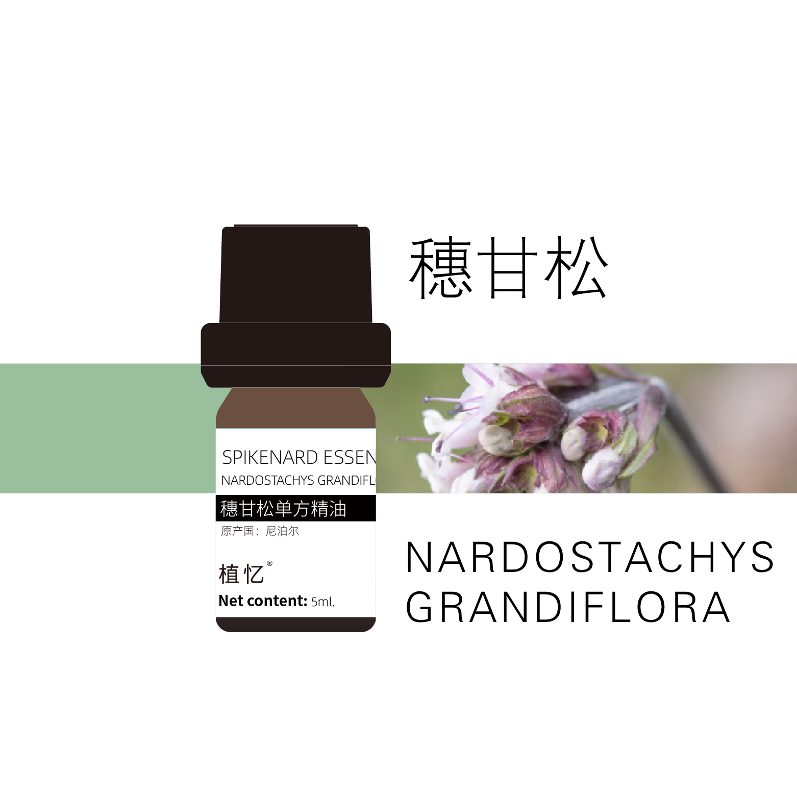 植忆穗甘松精油 尼泊尔 植物单方精油