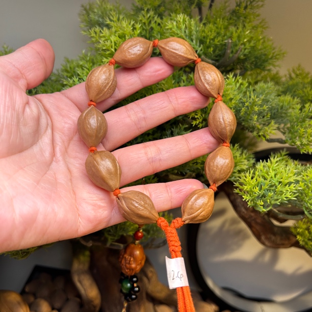 梅林铁核三面佛1.6-24的橄榄核手串原料