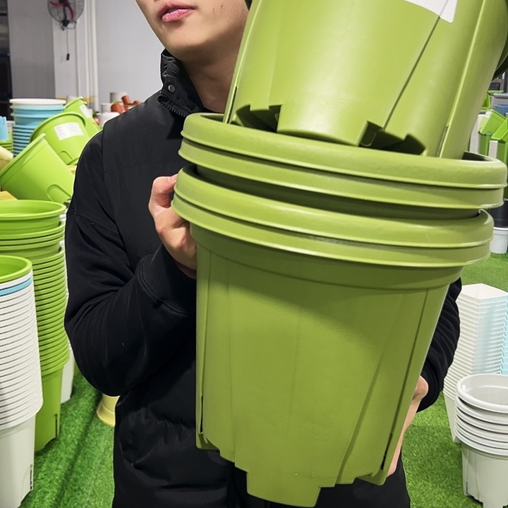 清仓青山口32高28果绿色5只无托