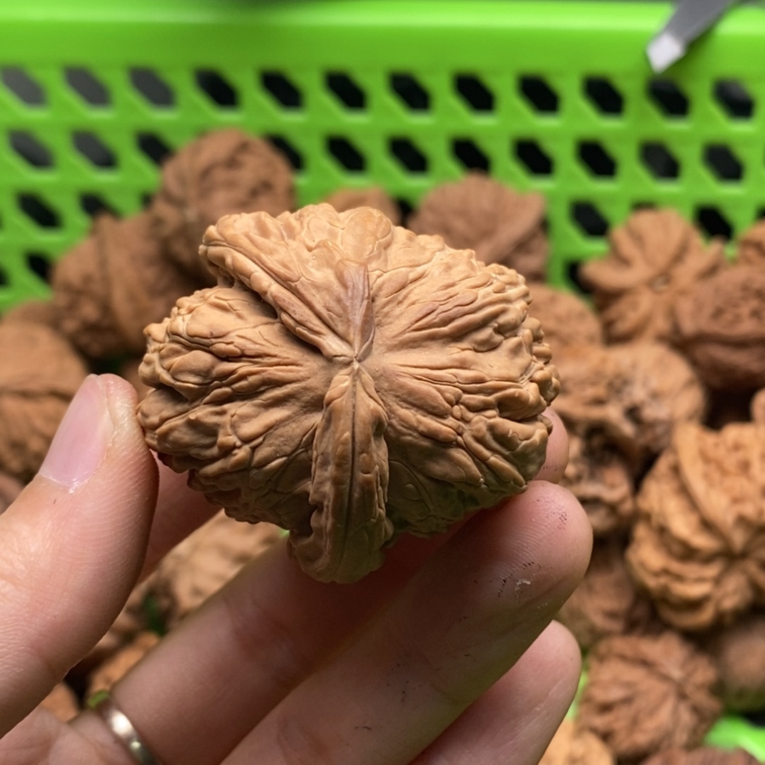 心***水把件文玩核桃定制商品不退不换