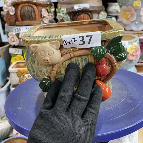 【闪购商品】红陶1