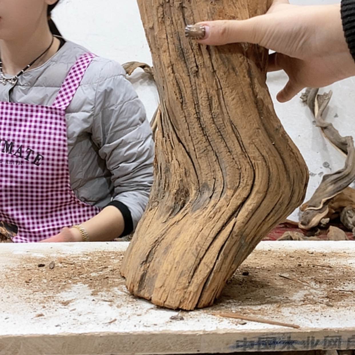 【闪购商品】柏木壹*堂我们都是好孩子