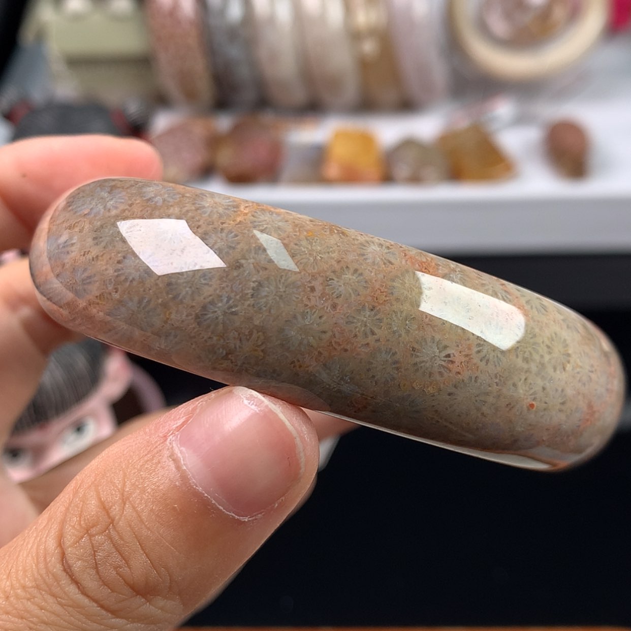 【闪购商品】硅化珊瑚（珊瑚玉）手镯未镶嵌福利手镯60.3（10号）