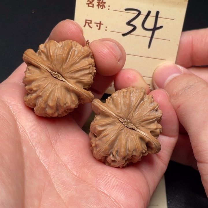 文玩核桃把件白狮子36尺全品白茬34