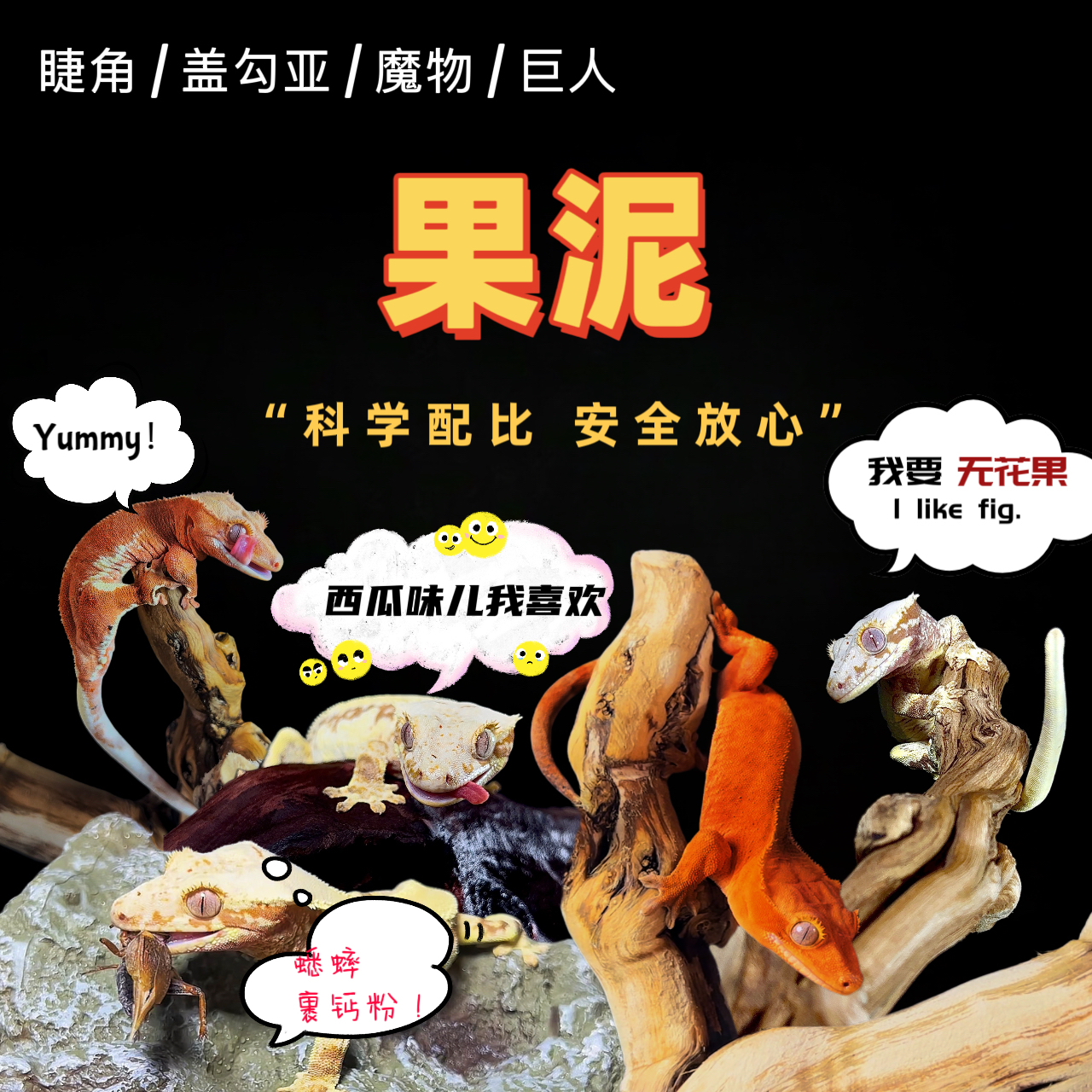 天源汇宠果泥睫角盖勾亚魔物巨人果泥粉钙粉爬宠口粮