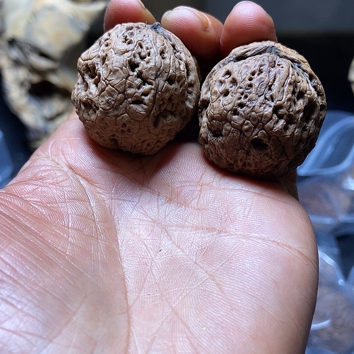 把件文玩核桃云南铁核桃基地84